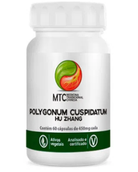 resveratrol - polygonum cuspidatum - hu zhang